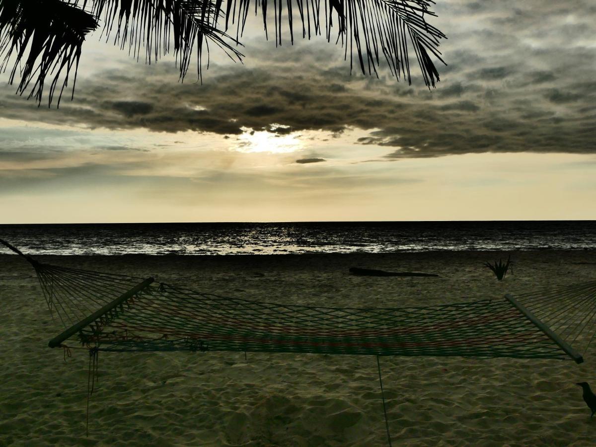 Marari Sealap Beach Villas Mararikulam Exteriér fotografie