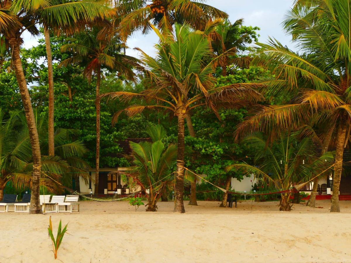 Marari Sealap Beach Villas Mararikulam Exteriér fotografie