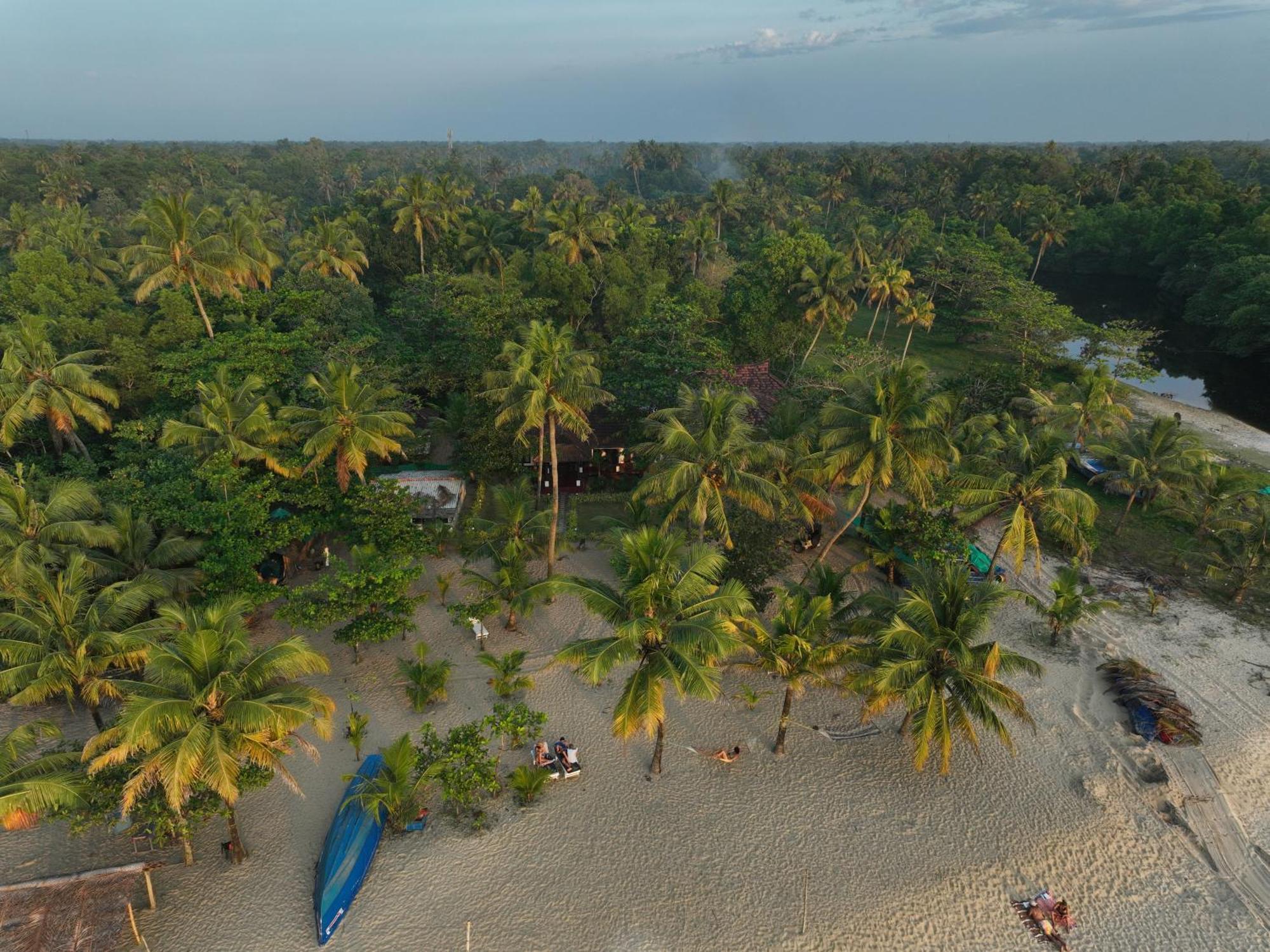 Marari Sealap Beach Villas Mararikulam Exteriér fotografie